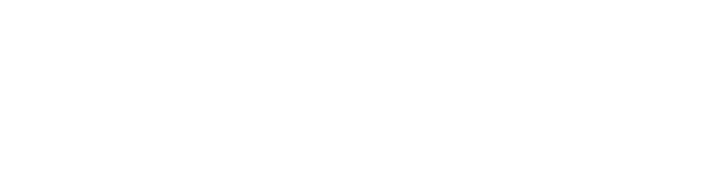 Borker primary logo on dark, white